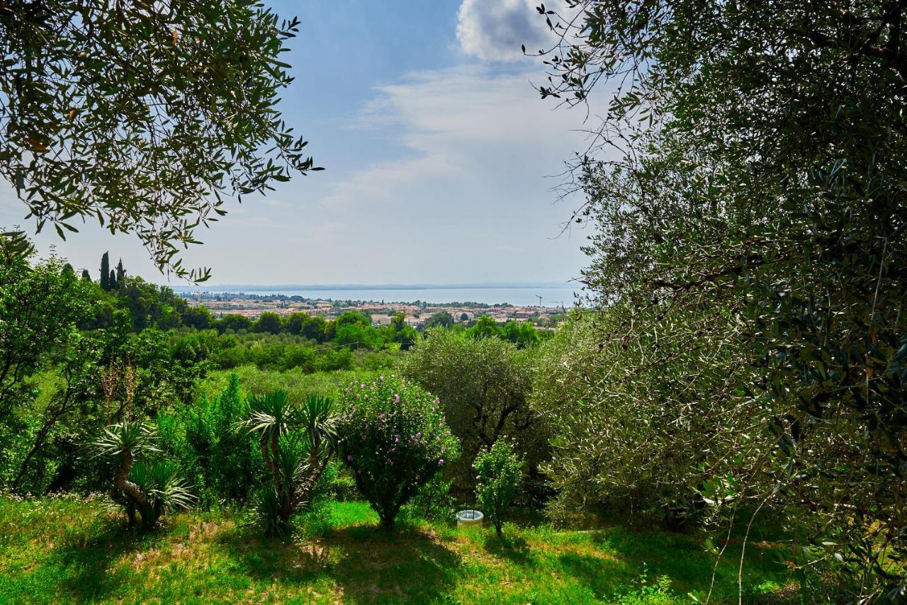Hopfen Lazise
